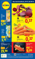 PASIŪLYMAI NUO KETVIRTADIENIO: Nuo rugsėjo 11 d. title=